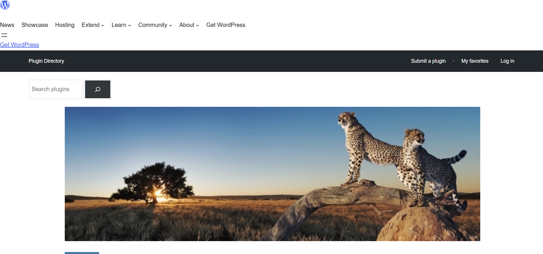 افزونه‌ای با رابط کاربری ساده و سریع برای کش صفحات