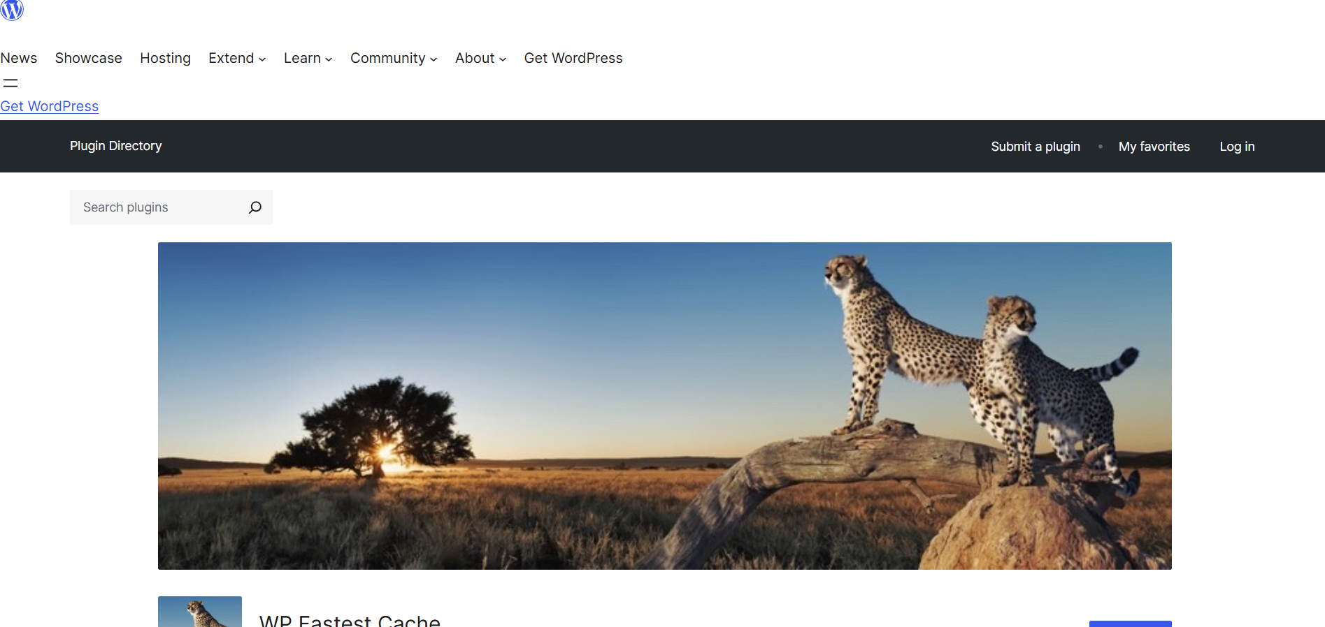اسکرین شات افزونه WP Fastest Cache 