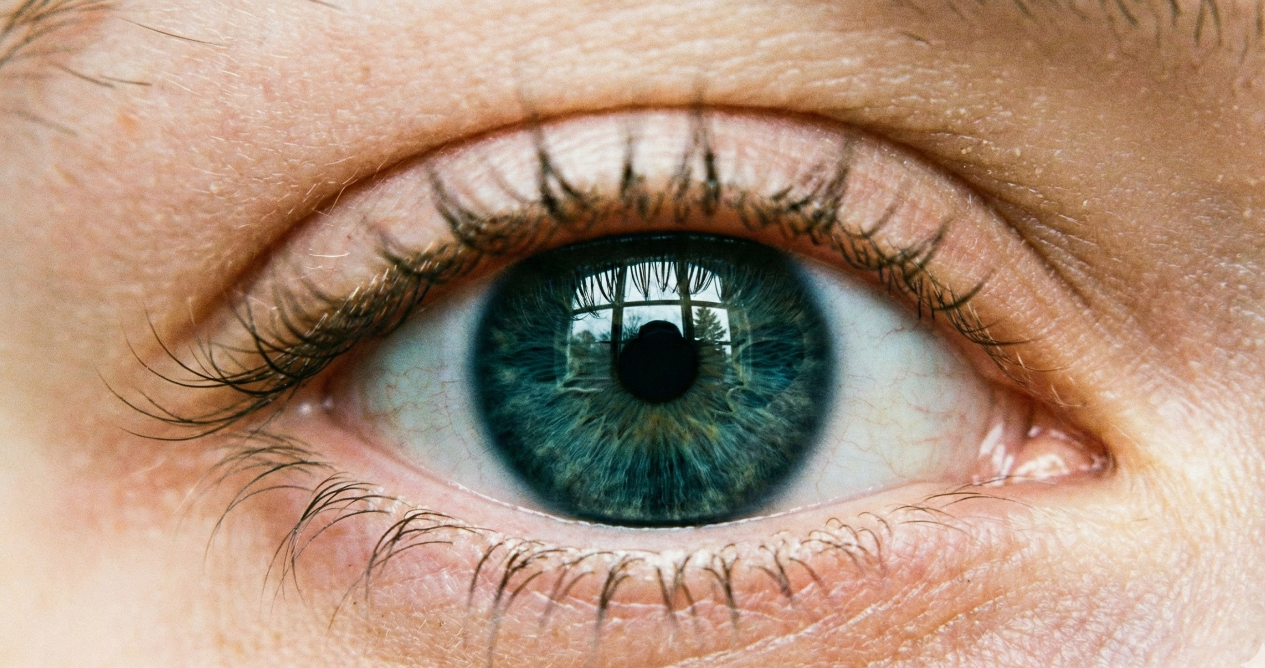 تصویر فوق‌العاده واقعی از چشم انسان تولید شده با هوش مصنوعی که جزئیات دقیقی دارد.